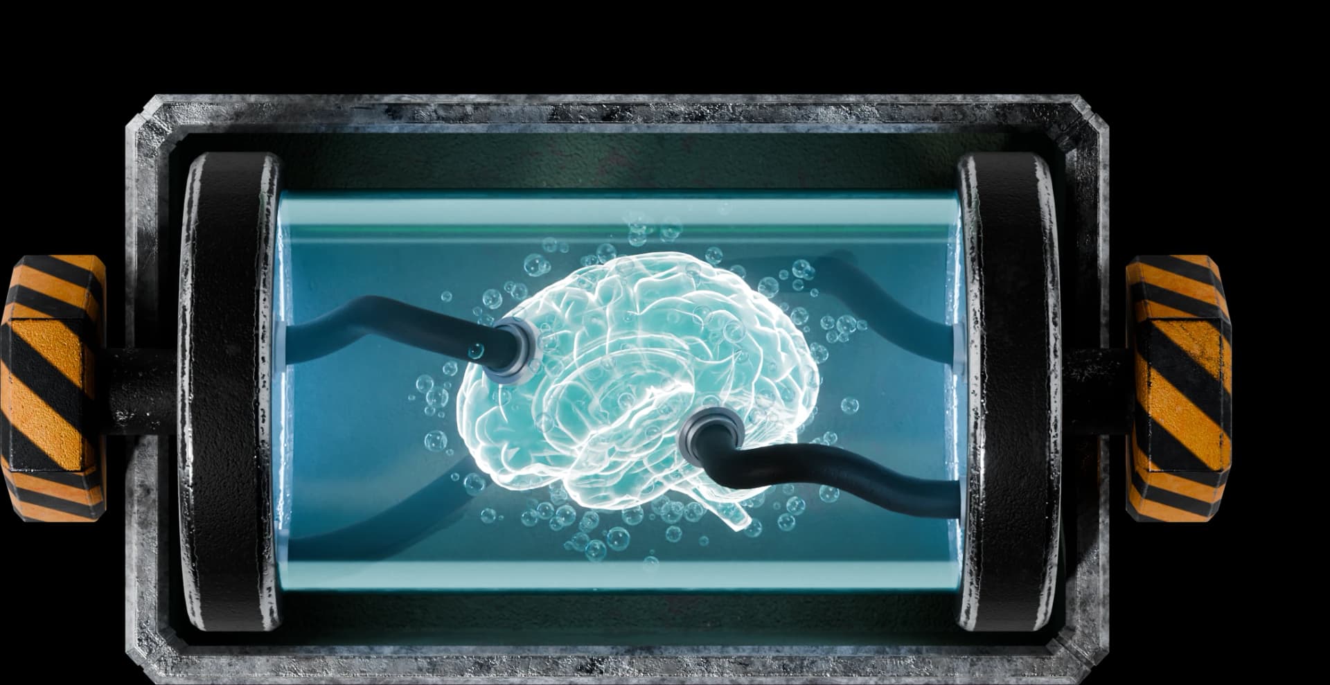 Brain case